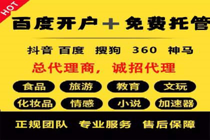 某知名品牌SEM优化托管的策略与成果